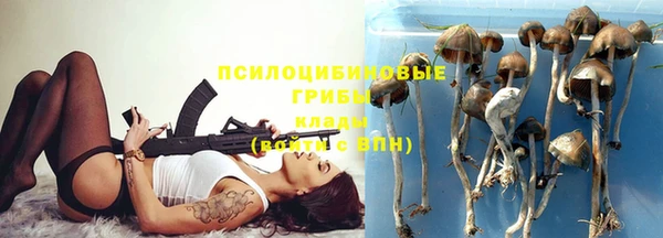 шишки Белоозёрский
