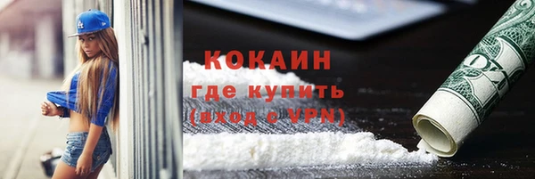шишки Белоозёрский