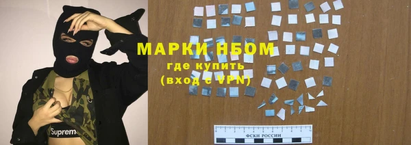 ECSTASY Белокуриха