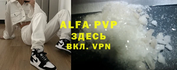 шишки Белоозёрский