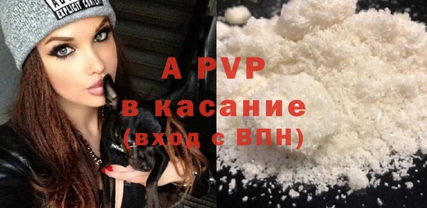 ECSTASY Белокуриха