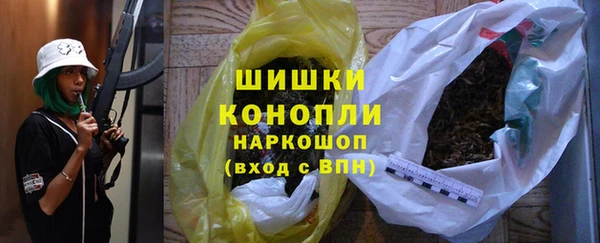 шишки Белоозёрский