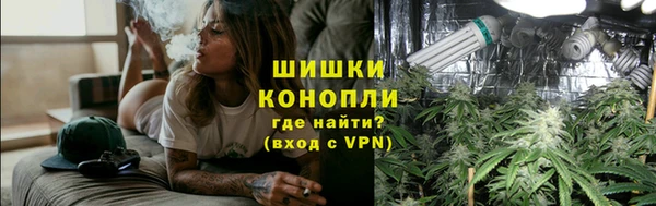 шишки Белоозёрский