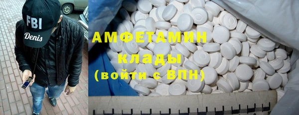 шишки Белоозёрский